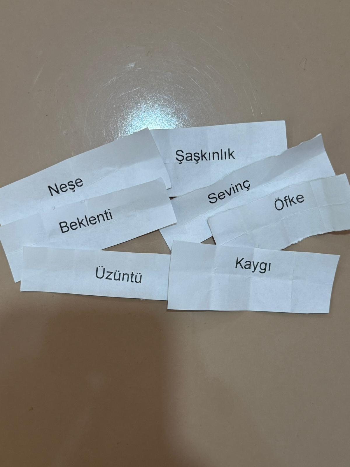 Adana’da Duygu Haritası Etkinliği Düzenlendi